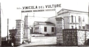 Enopolio Vinicola Del Vulture